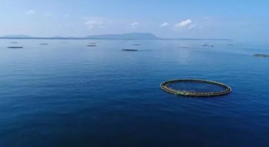 人民网剧透！全球最大设计众筹项目“设计岛”将在烟台问世