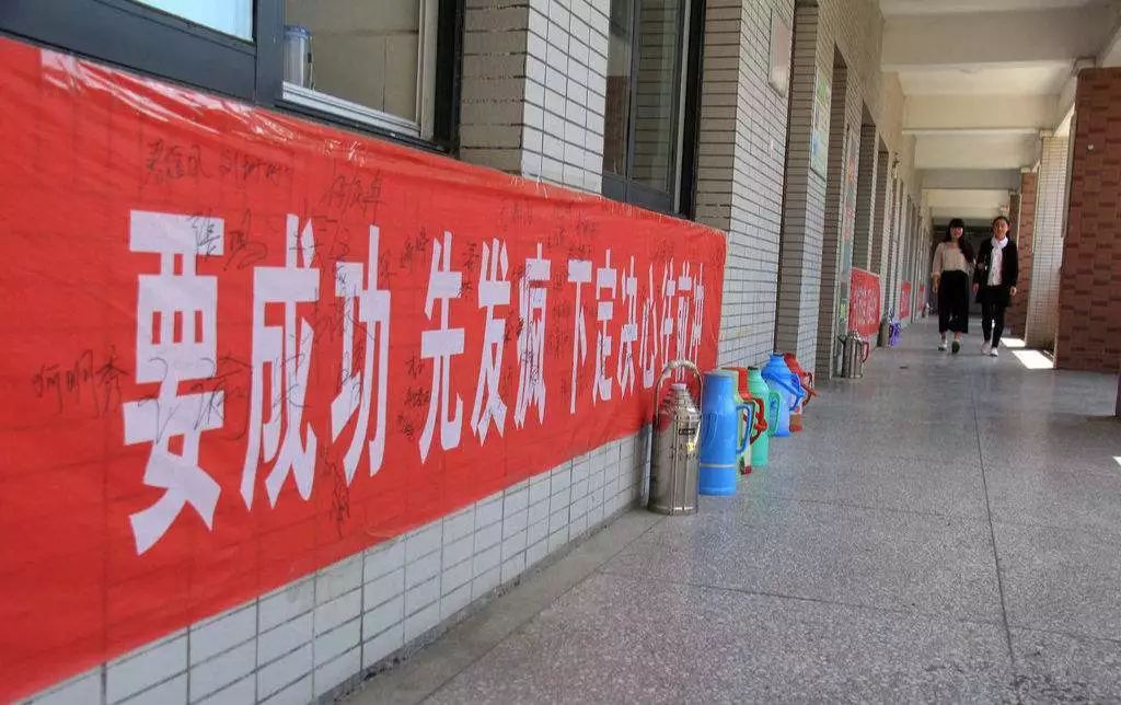 误入电竞圈,误入电竞的动漫