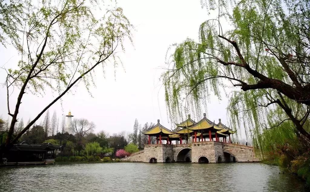 10月29号机票天津飞哪里便宜,天津出发十一月的特价机票