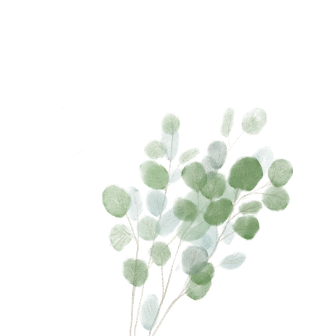 毕业季最好的我们抖音版,毕业季最好的我们前奏