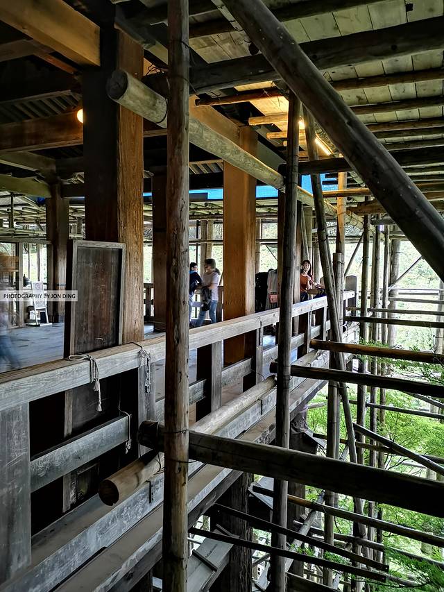 游走世俗与佛境之间，探寻唐风遗留的痕迹——JD的日本关西游记