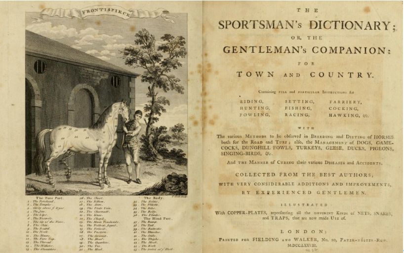 狗粮的历史来历,狗粮发展史大全