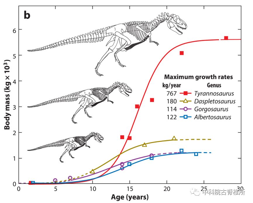 恐龙为什么如此巨大,恐龙世界什么恐龙最庞大