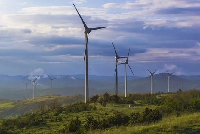 黑帮的穷途末路,黑道家族的崛起和衰败