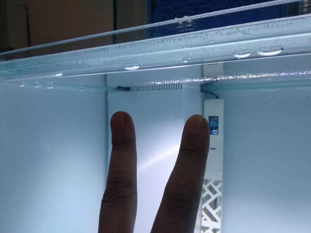 大神「鱼勇」DIY一缸多用“直播”教程，好缸无需再等