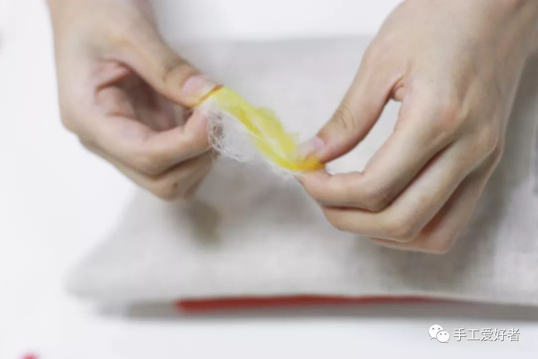 一只鹦鹉的训练过程,怎么快速教小鹦鹉自己吃