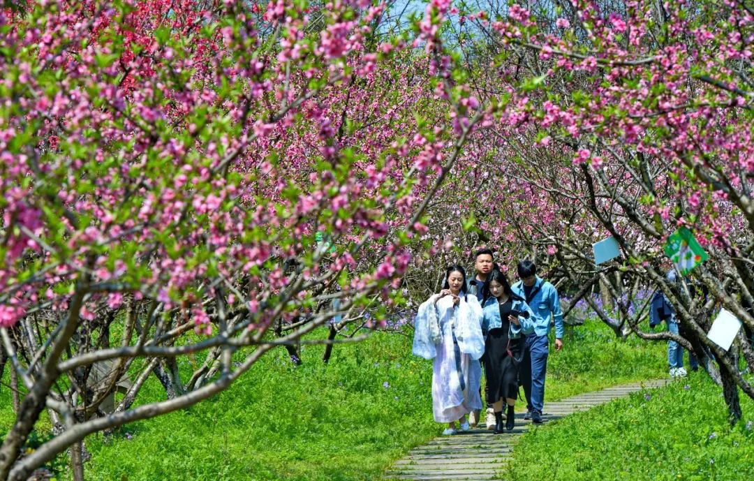 元稹十首千古绝诗,元稹千古佳句