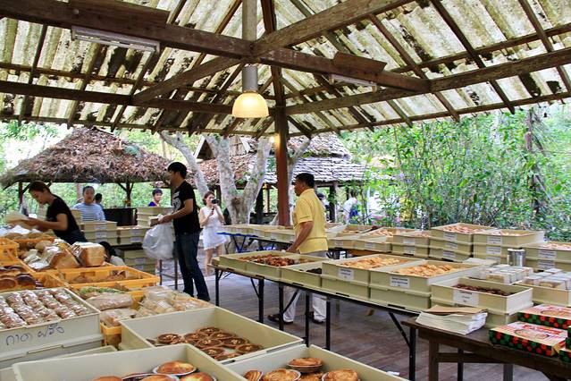 泰国清迈国际漫游,清迈旅游四天三晚