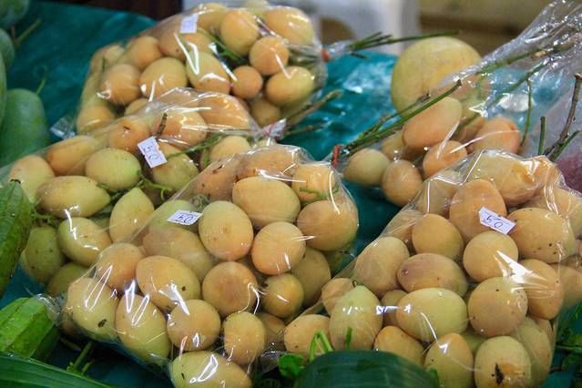 泰国清迈国际漫游,清迈旅游四天三晚