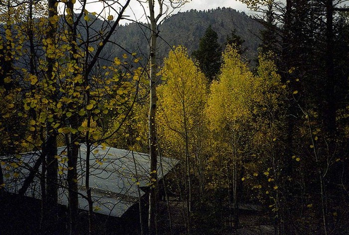 感光度160的过期胶卷,过期胶卷使用技巧