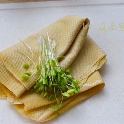 香椿芽豆腐皮怎么做好吃,别再出去吃了润饼自己做更好吃