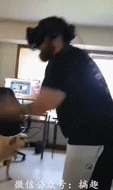 每天3分钟尽览天下事（微信、支付宝可免费申领ETC/年底前，河南又有5条高速要通车/本月郑州有9场主题招聘会等你来）