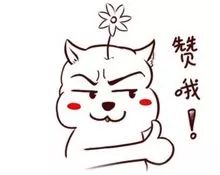 郑州2019年的大事,2019年2月至5月份郑州大事