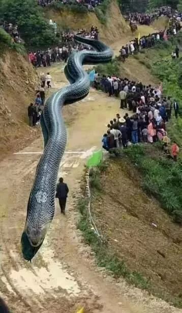 2017年最大的谣言你信了吗,6大谣言真相揭秘