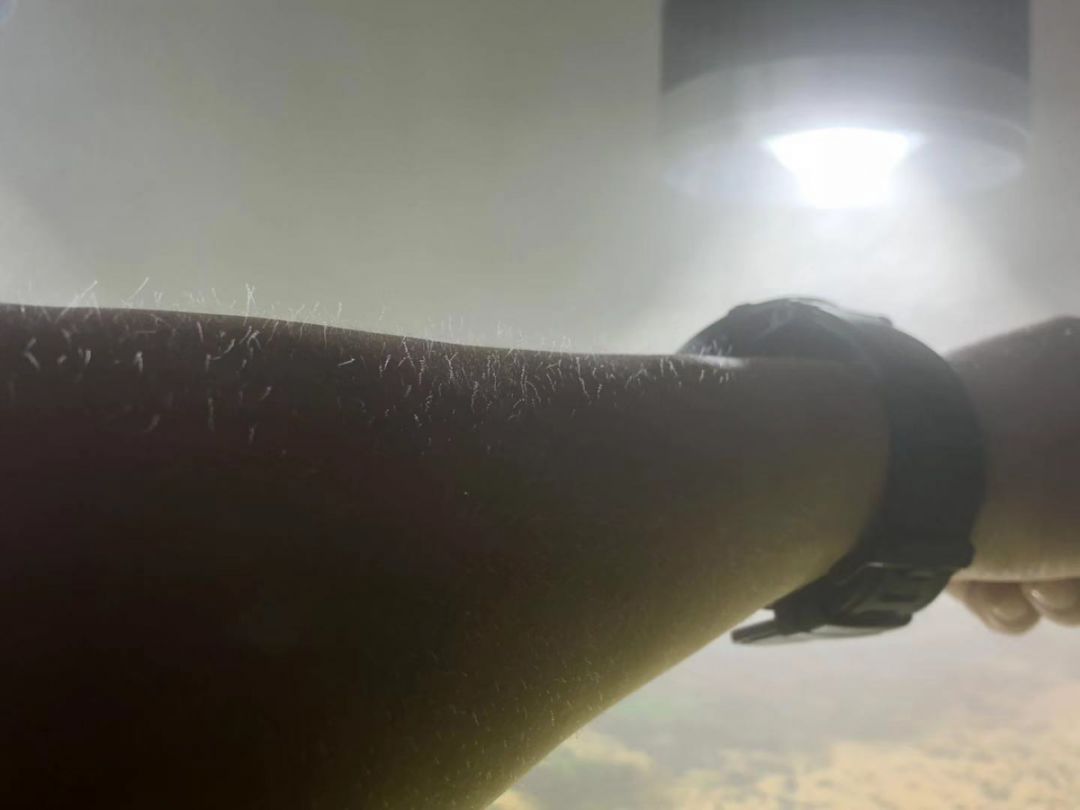 非瘟后的猪场消毒程序,非瘟猪场消毒总结