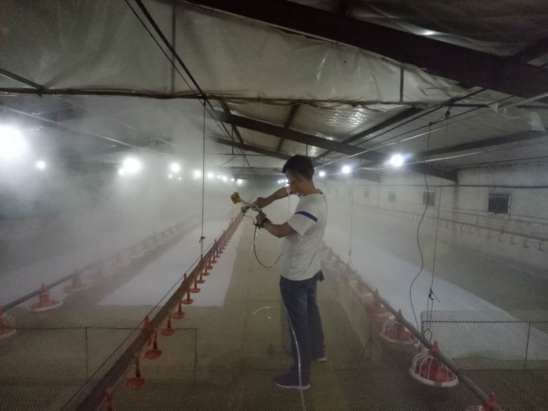 非瘟后的猪场消毒程序,非瘟猪场消毒总结