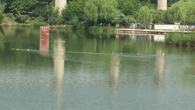 天呐!武汉这个区开挂了!反正我是羡慕了!