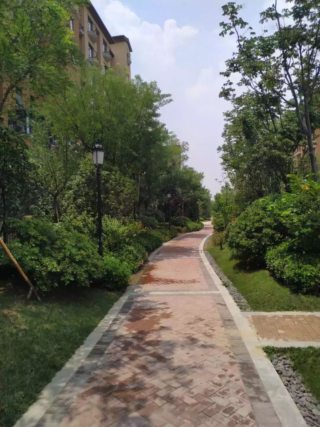 六年深耕，片区之王造城记