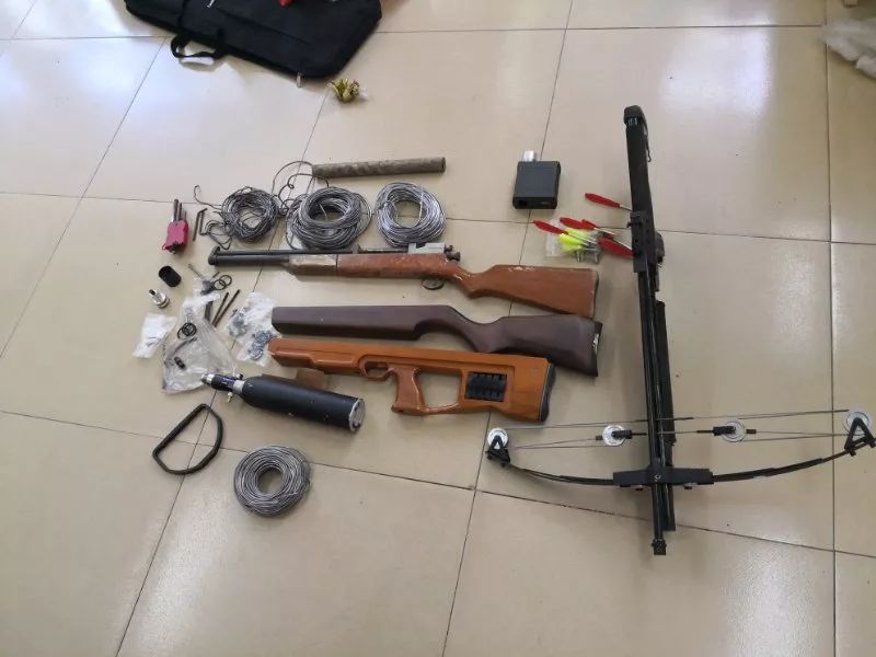 “有母鸡!还要鸡蛋不?”这竟是非法买卖时的交流术语