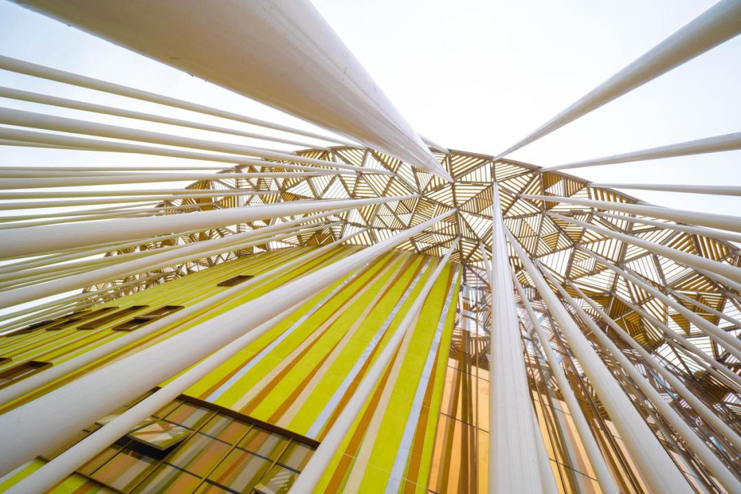 奇积乐园工程队发生巨大冲突 (奇积乐园第一集)