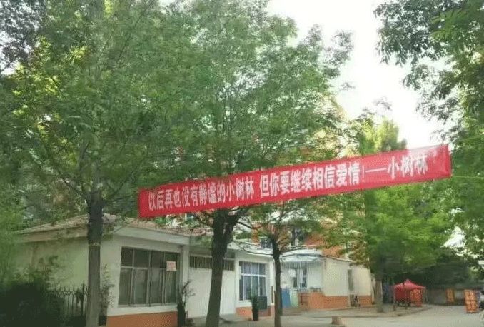 高校走心毕业季标语惹哭网友,催泪的毕业季横幅