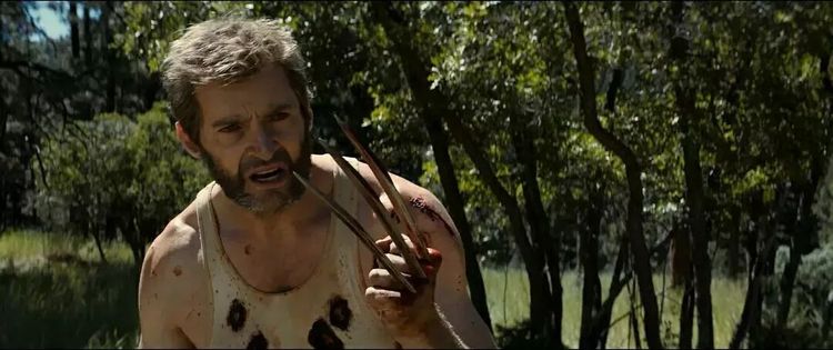 暮狼归乡金刚狼为什么杀浩克,对金刚狼的真实评价