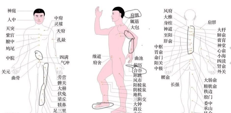 王攀硕士简历,王攀老师个人简介