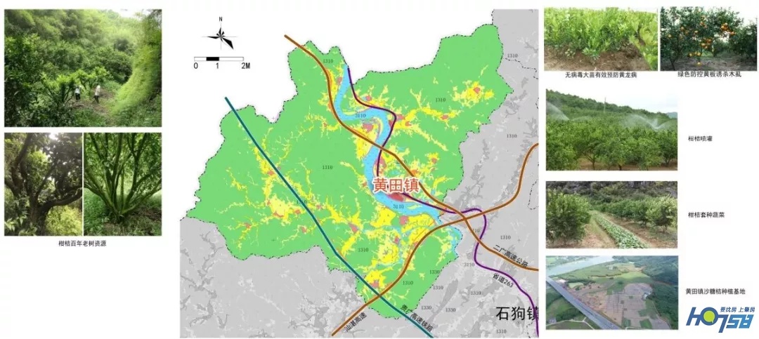 四会黄田柑橘种植生态园,四会市黄田镇最新规划