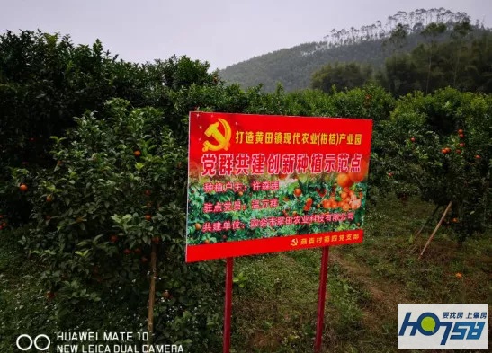 四会黄田柑橘种植生态园,四会市黄田镇最新规划