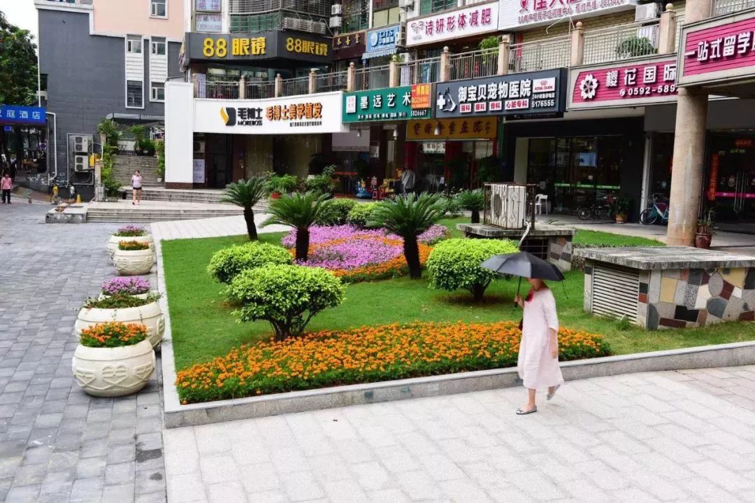 华丽升级,厦禾路哪一年改造