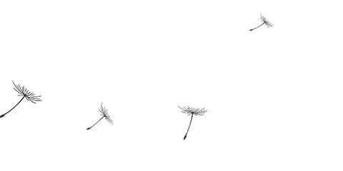 科学少年嘉年华,葫芦岛青少年科技创新大赛