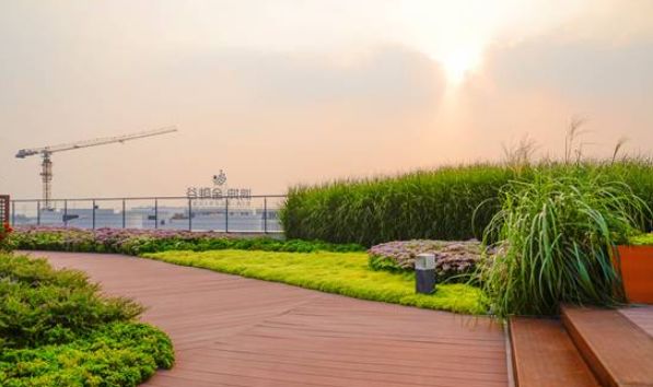 80后知名景观设计师,设计师徐庆