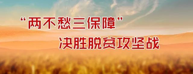 浠水现任县长黄强,红安黄强胤