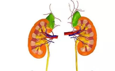 慢性肾脏病可怕吗,慢性肾脏病的健康科普