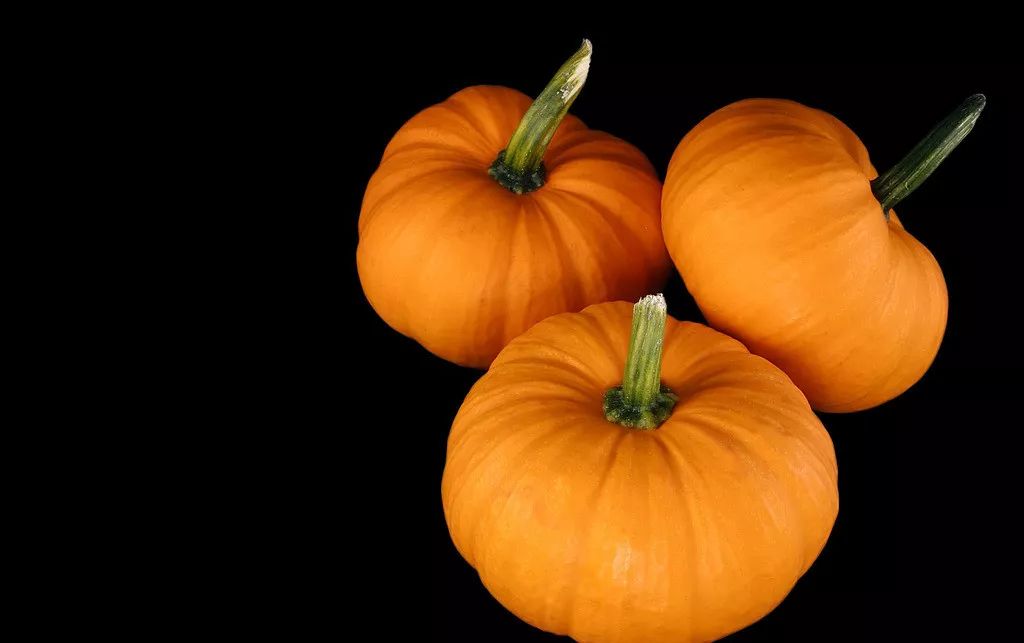 土豆种植技术怎么才能高产,学习怎样种土豆视频