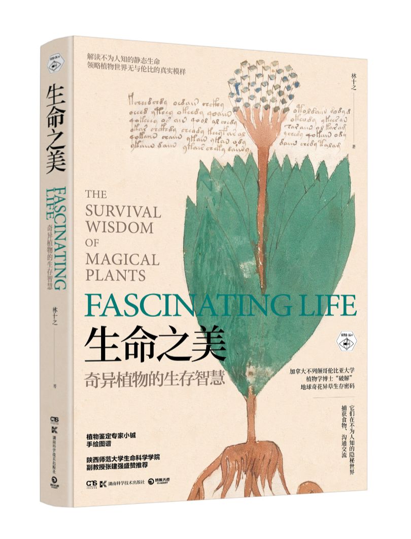 苏州隔断拆除,苏州最新隔断