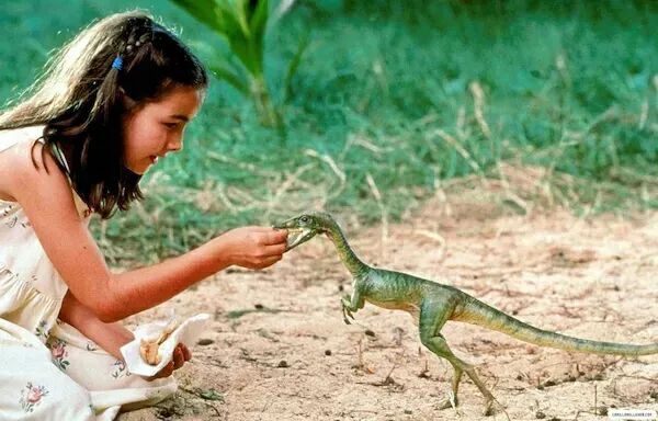 年度必看电影哥斯拉2怪兽之王,哥斯拉大战金刚2什么时候上映