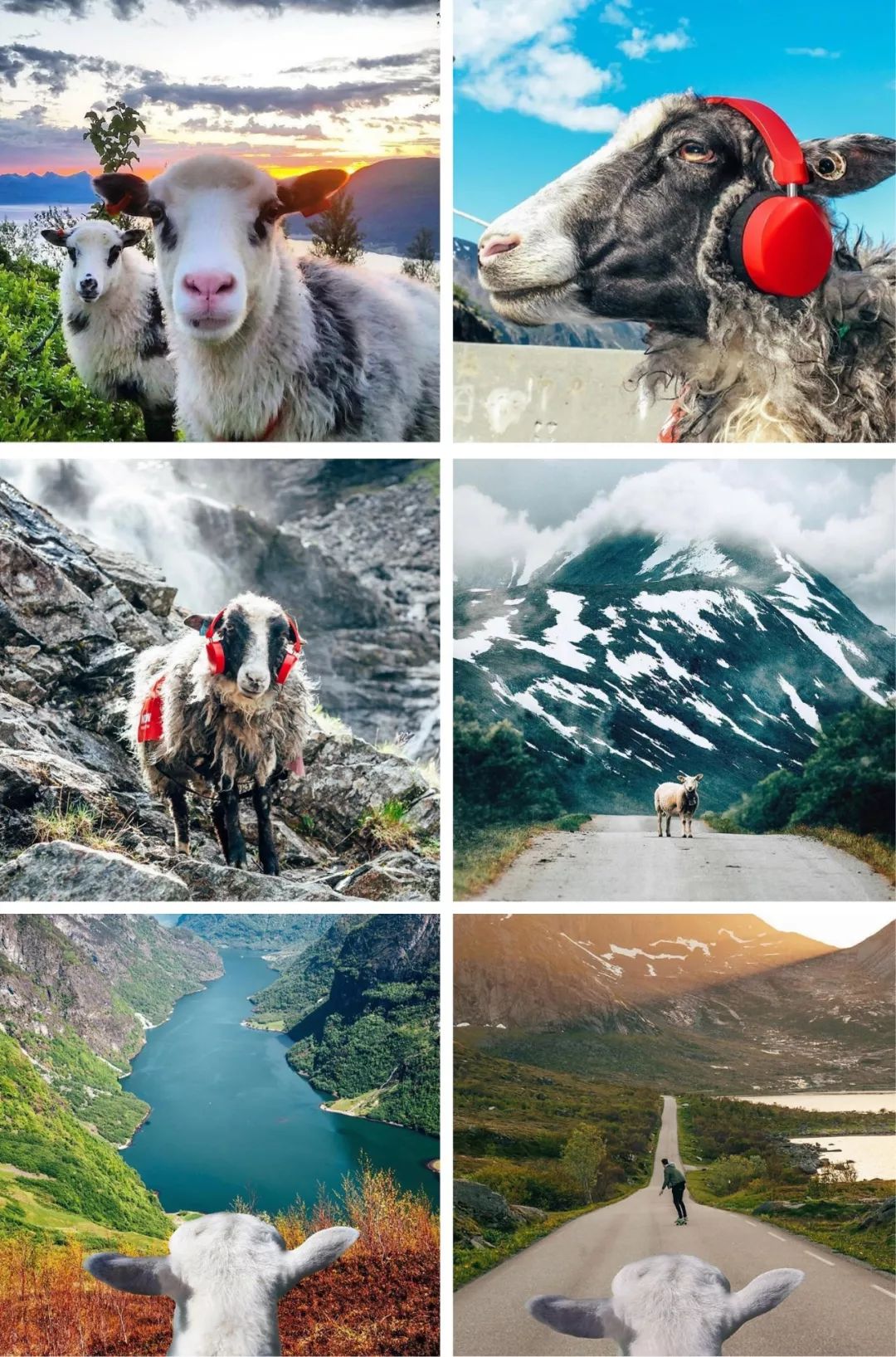 时差岛法国人,时差岛上