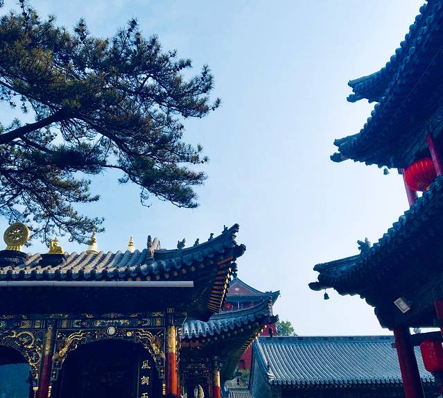 五台山游记200字,五台山七日朝拜攻略