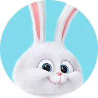 穿西装的宠物狗走路,穿moncler的男生