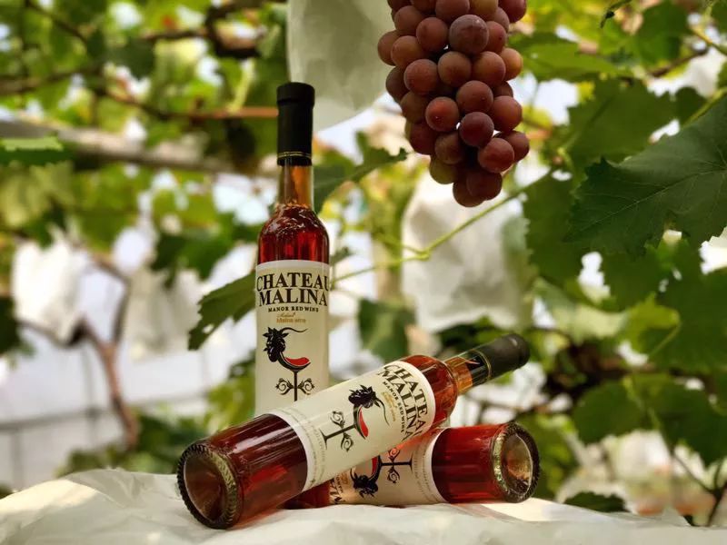 连阿里巴巴都点名！拿奖拿到手软的“葡萄王”来了~入园采摘，尽享千元农家菜