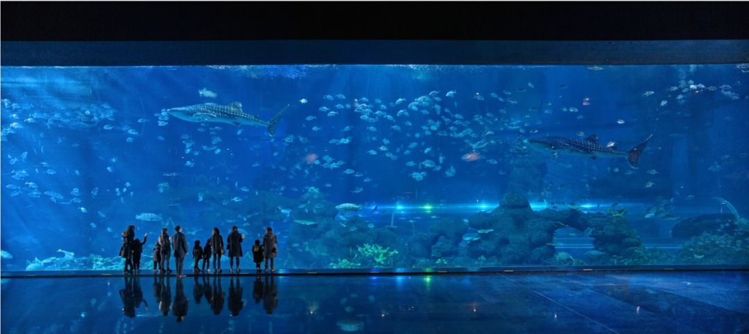 只要能在看似平静的画面中，找到一丝不安就可以了|张克纯