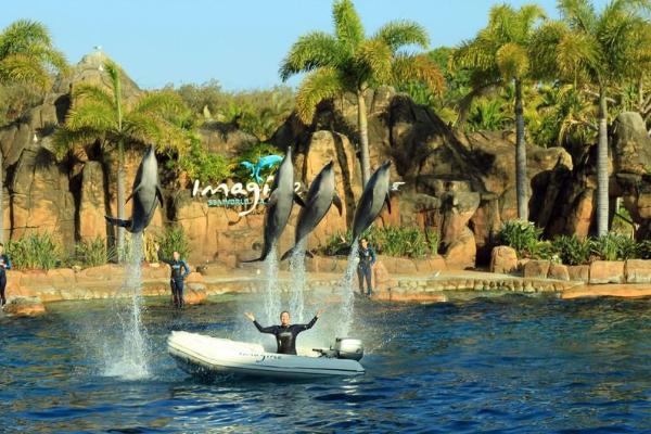 去澳洲费用大概多少,去澳洲费用多少钱多久能下签