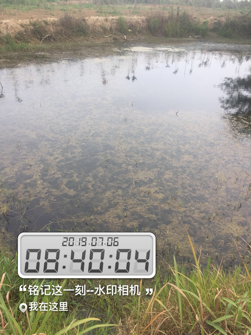 雷强2020年视频,2019雷强视频