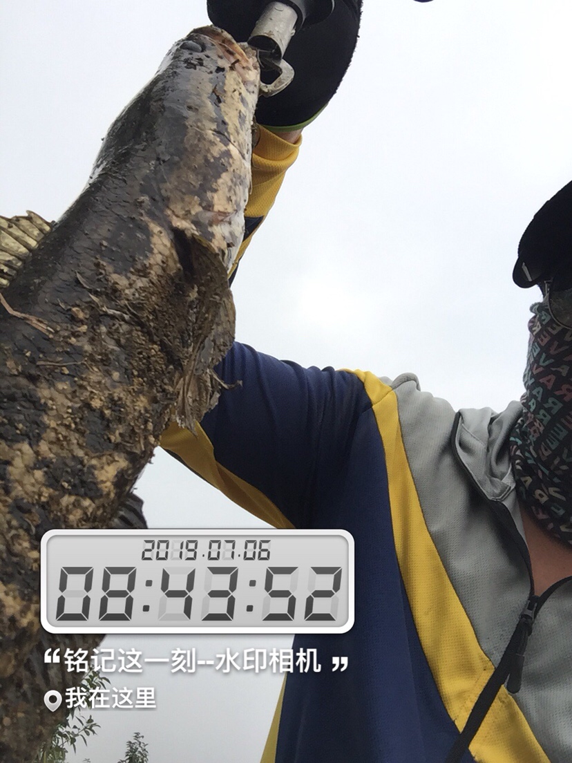 雷强2020年视频,2019雷强视频