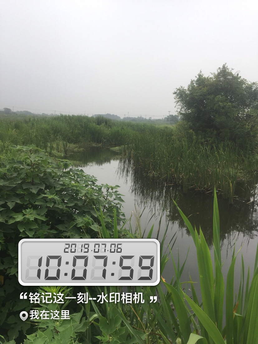 雷强2020年视频,2019雷强视频