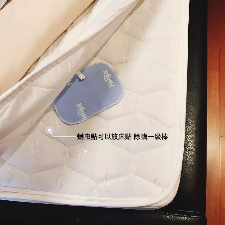 160万只螨虫的克星,4000多条螨虫