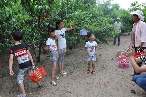 中国那些美丽到醉人的乡村,乡村旅游有哪些特色村庄