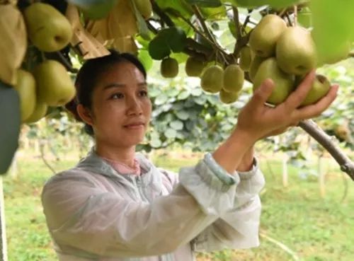 好人365|罗翠美昔日贫苦卖菜娃今日成功企业家