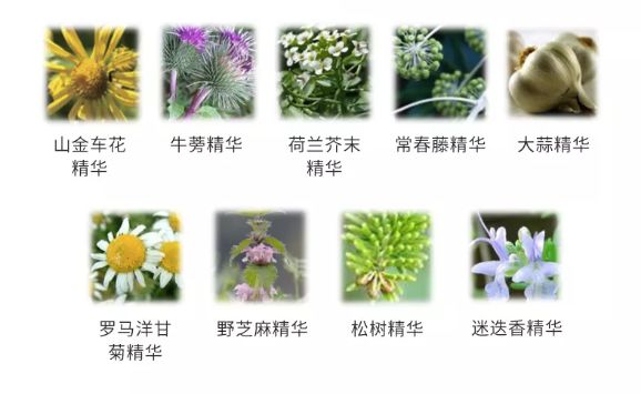 好物|花上千块做护理,在家却用烂大街牌洗发水虐待自己